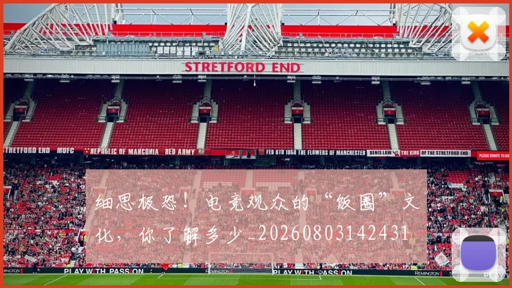 细思极恐!电竞观众的“饭圈”文化,你了解多少_20260803142431