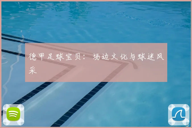 德甲足球宝贝:场边文化与球迷风采