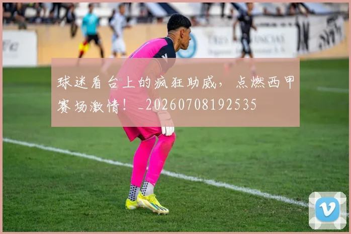 球迷看台上的疯狂助威,点燃西甲赛场激情!_20260708192535