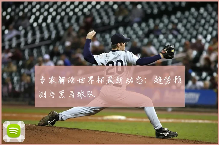 专家解读世界杯最新动态：趋势预测与黑马球队