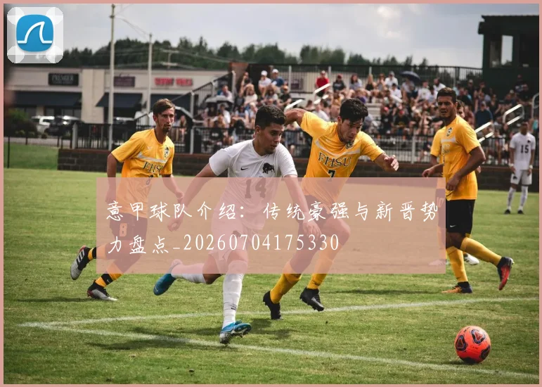 意甲球队介绍:传统豪强与新晋势力盘点_20260704175330